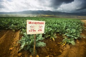 Stop Rollbacks On Pesticide Protections