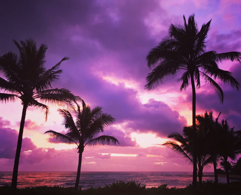 purple